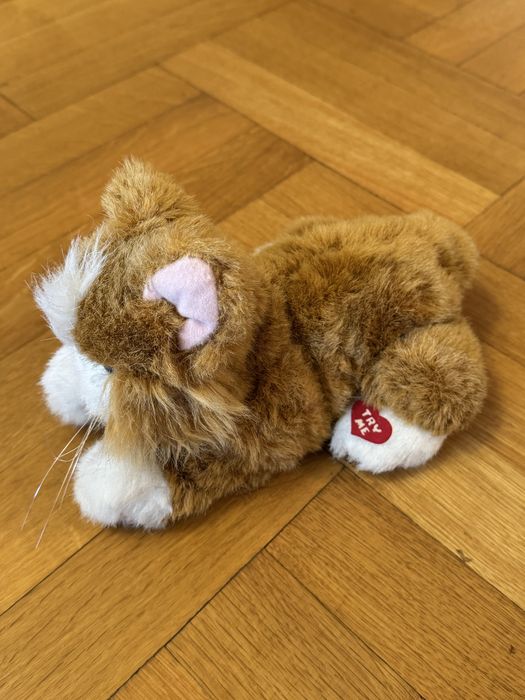 Интерактивно коте