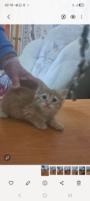 Добрые ручки для малыша