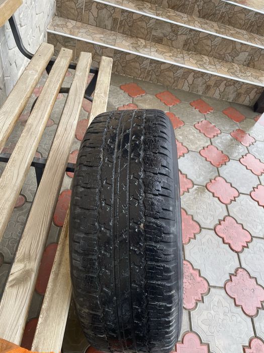 Пикаптын донгалагы