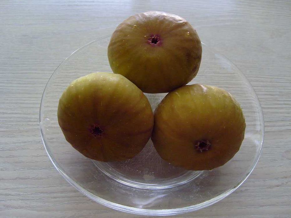 Цезалпиния (Жълта Райска Птица), Смокини в кофичка.
