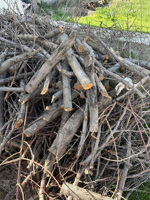 Отын Отын Отыннннннннн тегін Шымкент