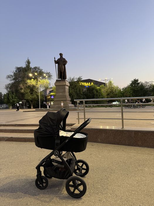 Коляска Tomix Walker 2в1