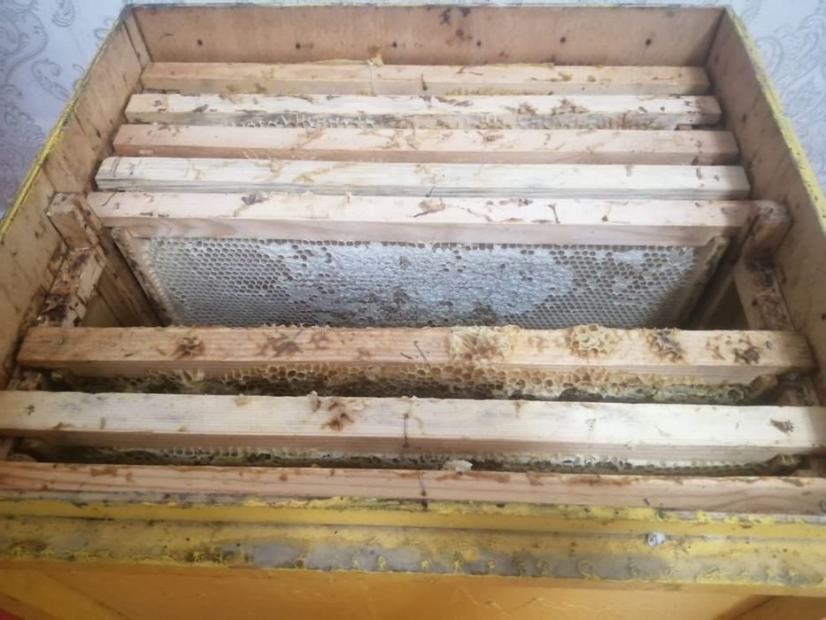 Рамка мёд натуральная