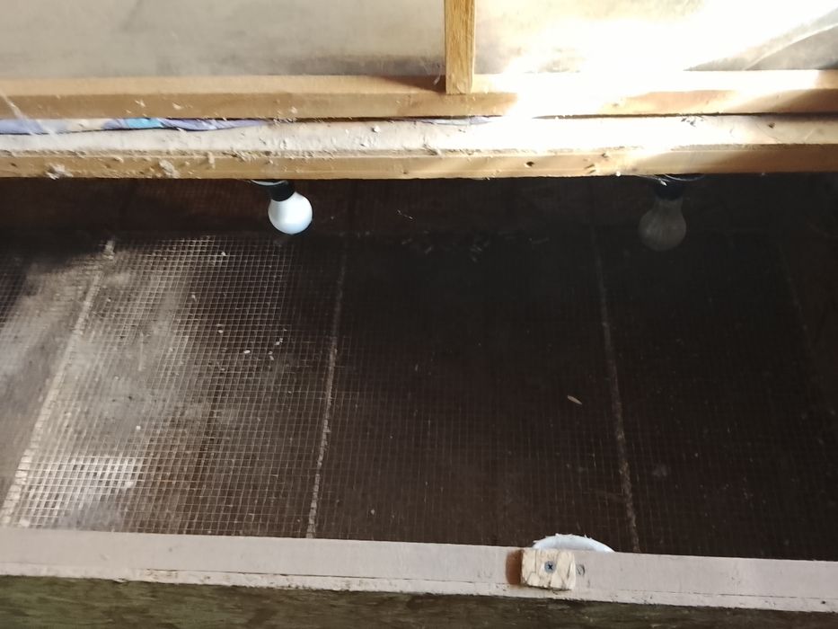 Инкубатор апарат