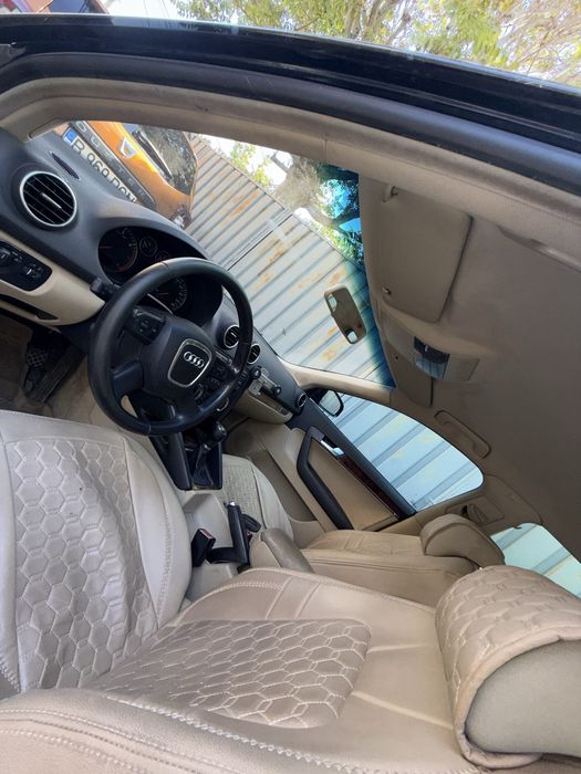 Audi a3 8p 1.9bls