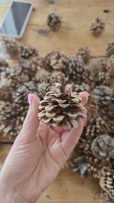 Шишки сосновые 170 шт для декора