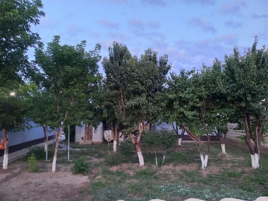 Шұбарқұдық ауылы, Жер үй сатылады