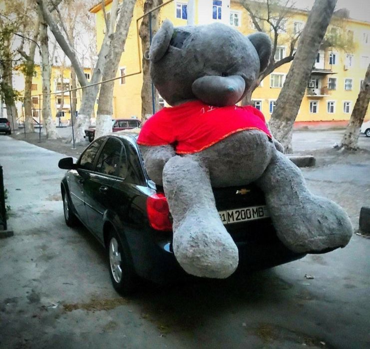 2 metrli Teddy Тедди