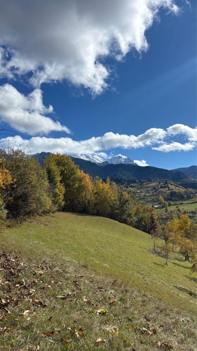 Vând teren în Bran-Sohodol