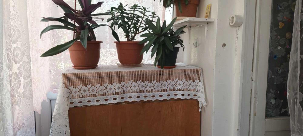 Apartament 3 camere