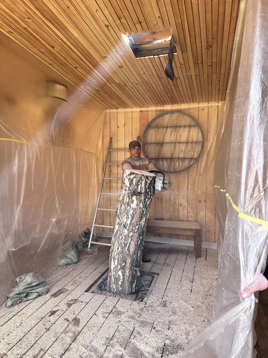 Спил деревье Ағаш кесу