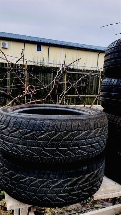 Amvelope iarna /vara Riken