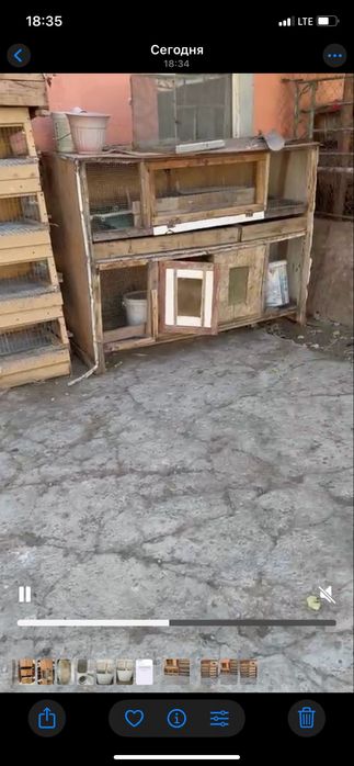 Тауық кепелер арзан бағада