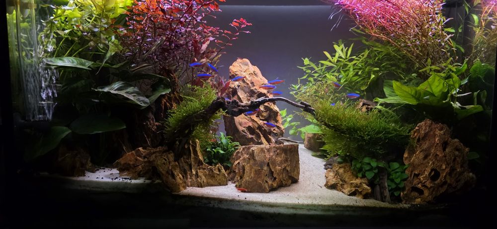 Aквариум AQUAL 83 L