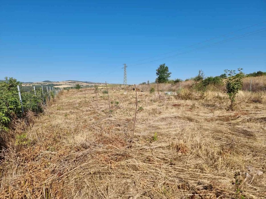 Продава се Парцел в Банкя - 1174 кв.м за 128 €/кв.м - Снимка #2