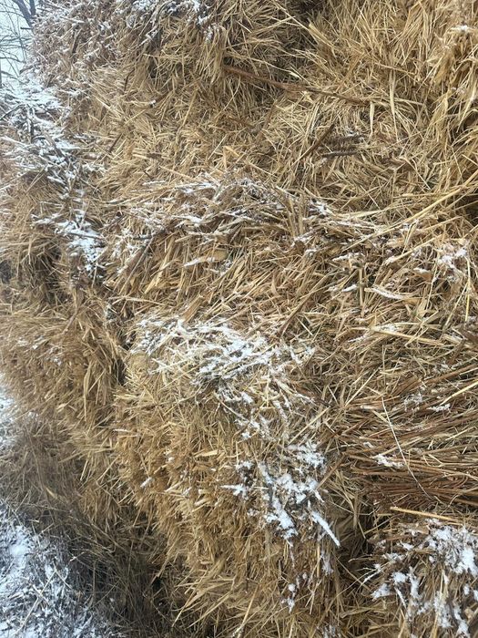 Продается сено 800тг торг есть