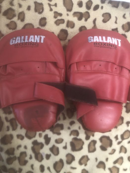 Palmare Box KickBox