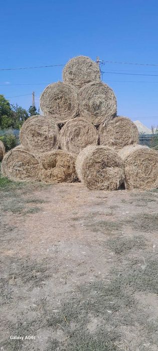 Baloti fân 120x120 – încărcare disponibilă