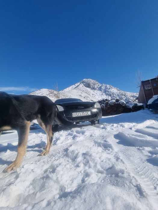 Муж на час с выездом на дом 24/7 звоните !