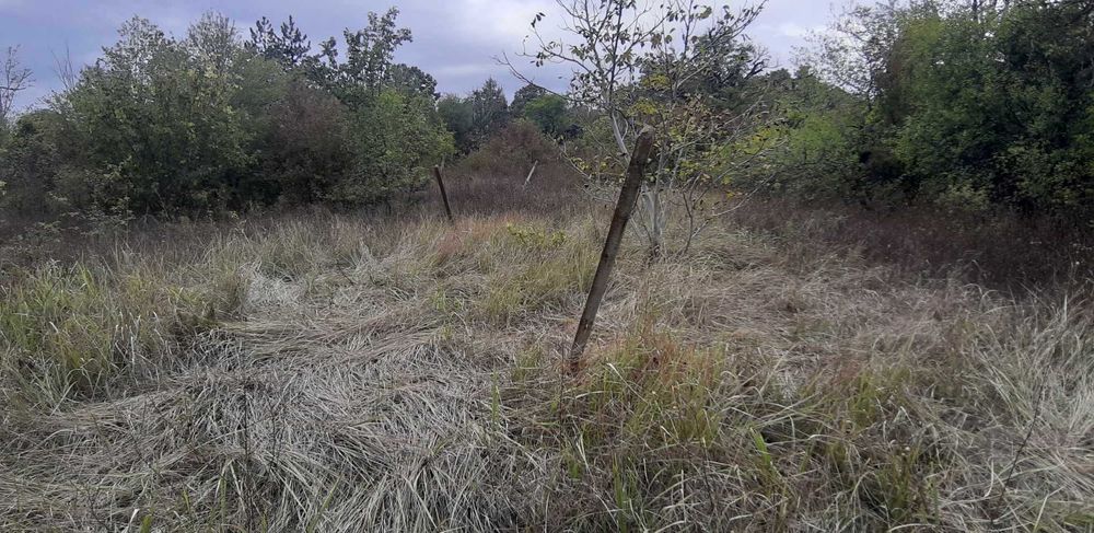 Продава се Къща в Търговище, Вилна зона - 35 кв.м за 263 €/кв.м - Снимка #4