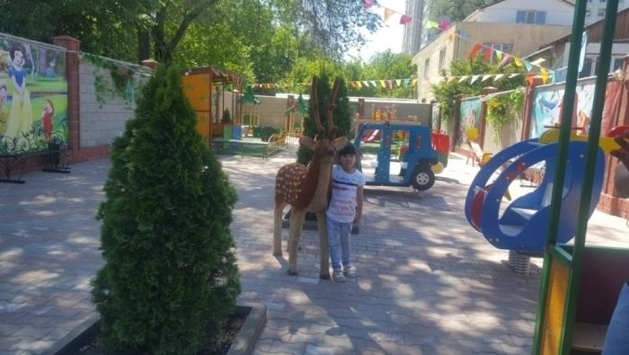 Детский сад "Золотой Дракоша"