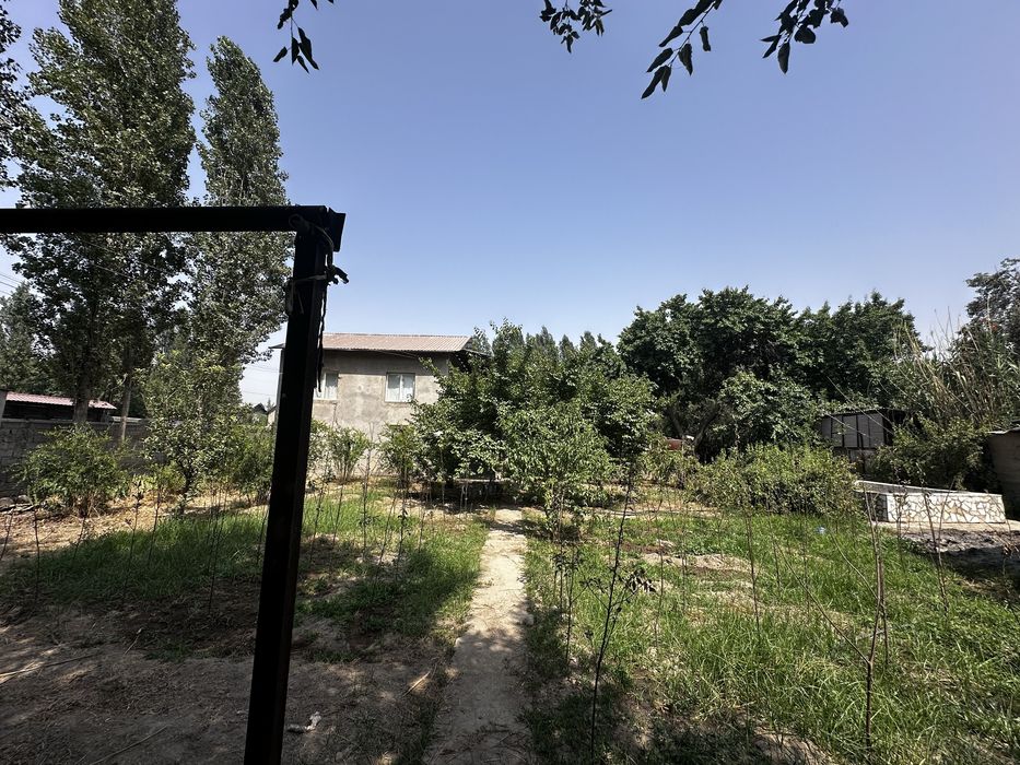 Shahar tashqarisida dalahovli sotiladi