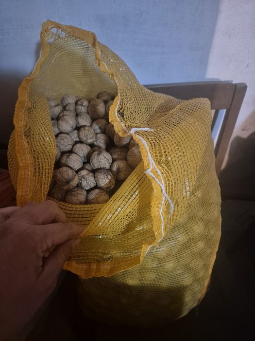 Грецкие орехи домашние