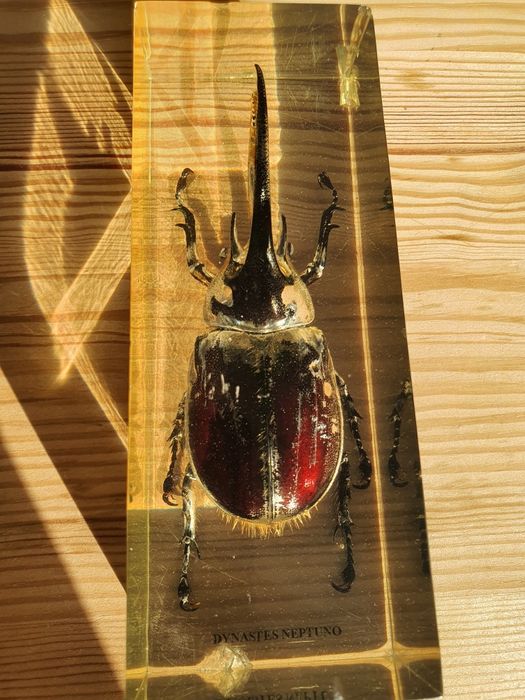 Пресс Папье Сувенир