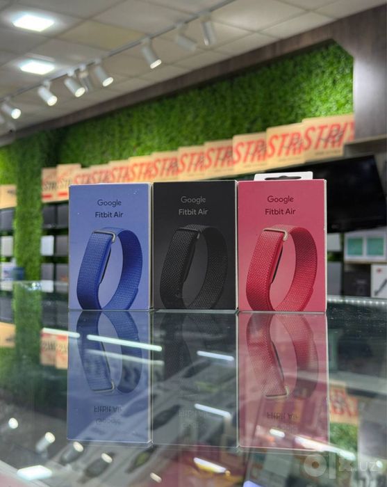 Google Fitbit Air
