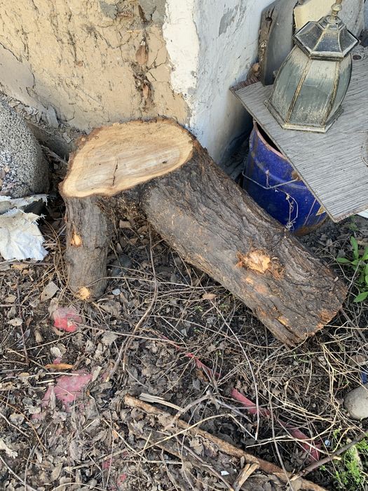 Отдам дрова. Бесплатно. Отдам доски