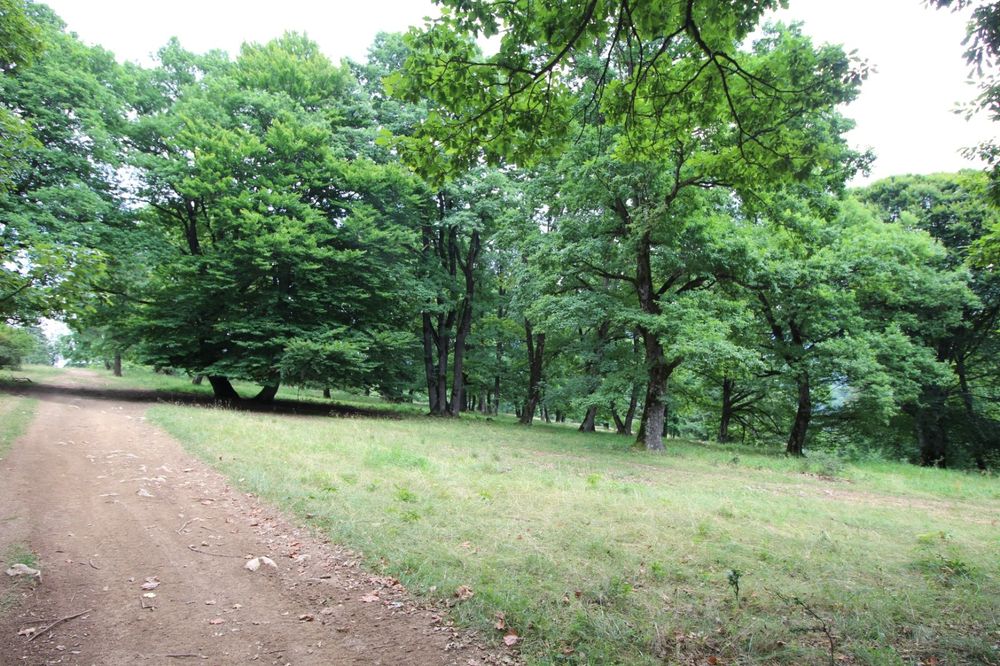 Teren Poiana Brașov 4713 mp-Zona de investiție  teren lângă Sergiana