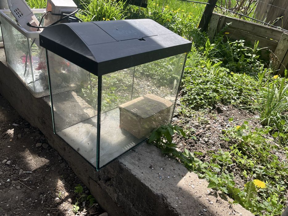 Аквариумы в отличном состоянии