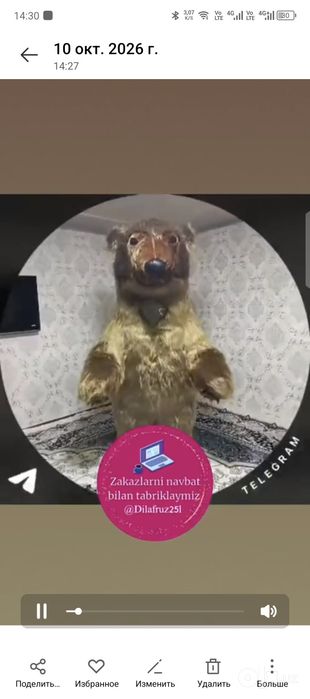 Айиклар сотилади