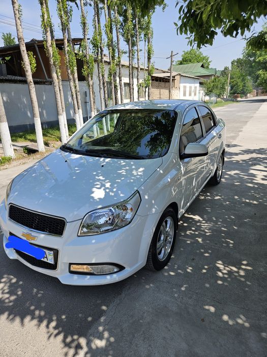 Other Nexia 2019 — 2