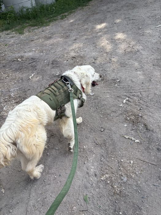 Продажа тактической шлейки.