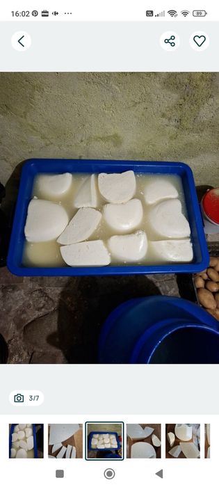 Branza de capra 40 lei/kg