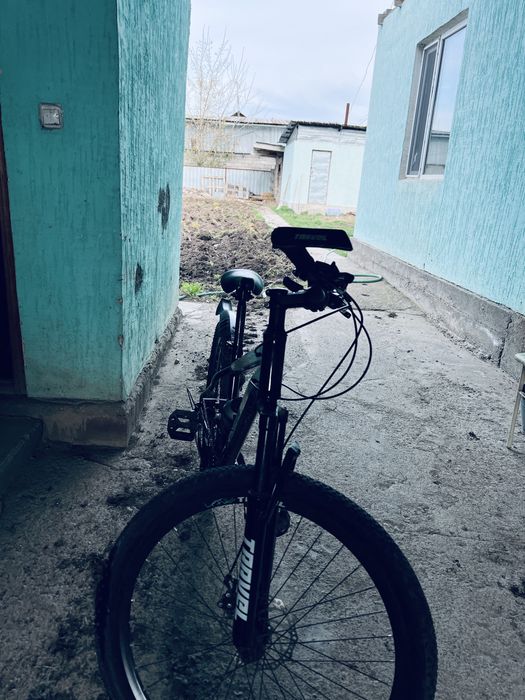 Велик скаросной