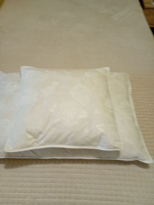 Set perne noi din puf și pene de gâscă