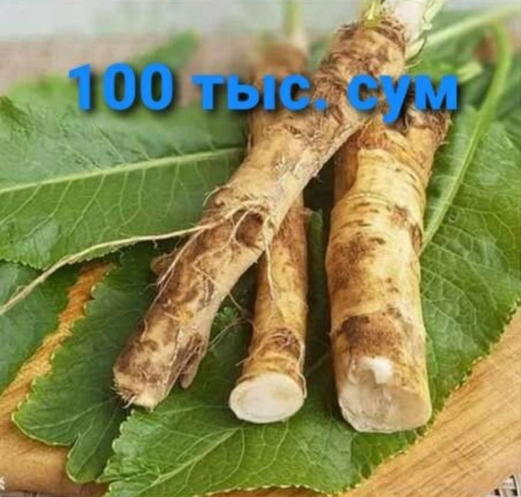 Корни хреня продаётся цена за 1 кг.