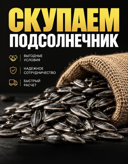 Скупаем подсолнечную семечку