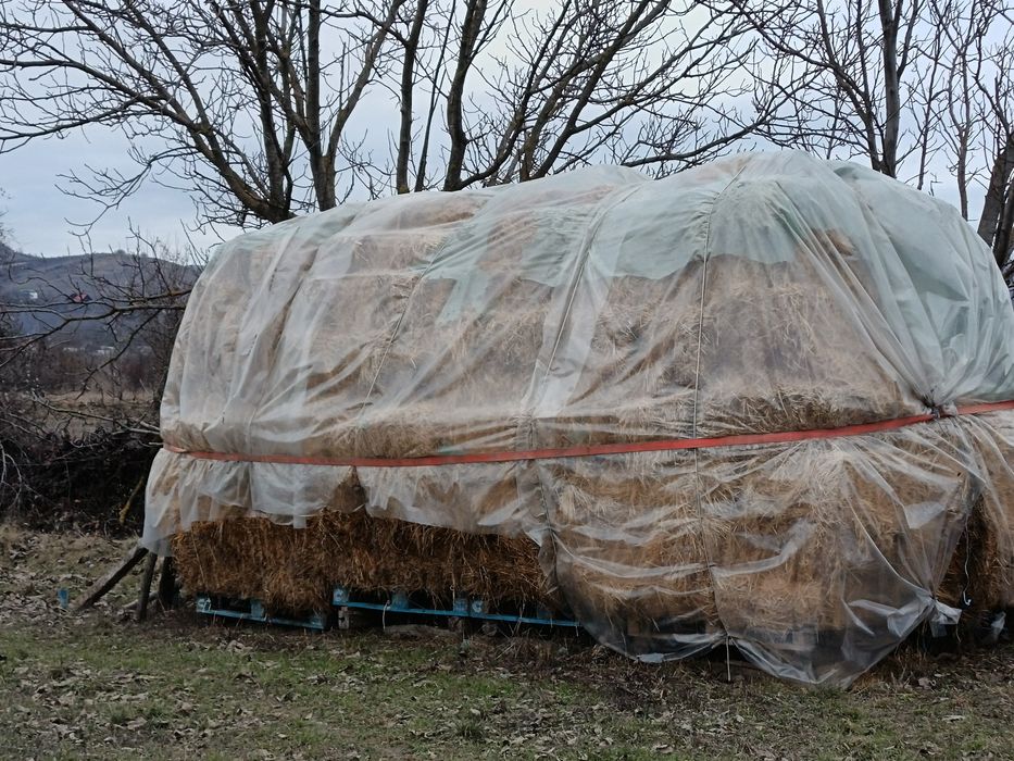 Vand baloti de lucernă cu fan.