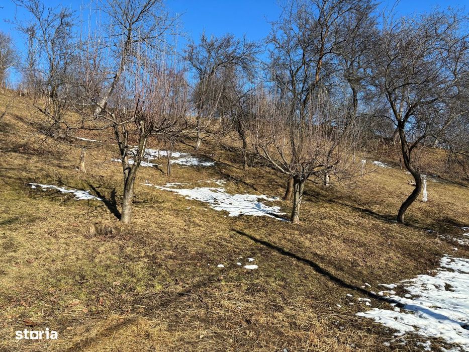 Casa gospodarului, bine întreținută, cu teren generos – Comarnic