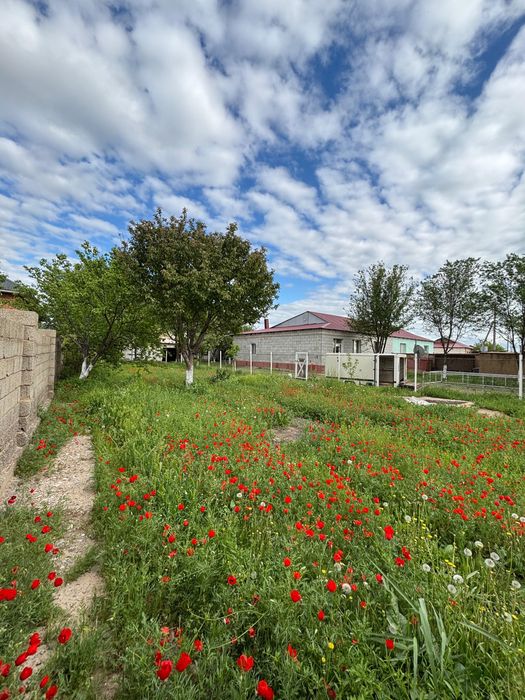 Үй сатылады Арыс қаласы