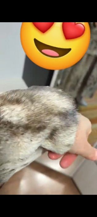 Продам норковую шубу.