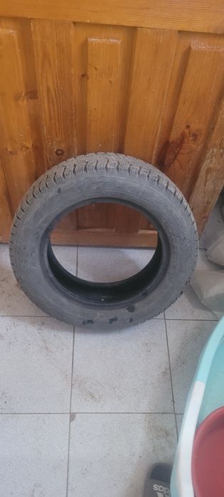 Шины зимние 1 штук