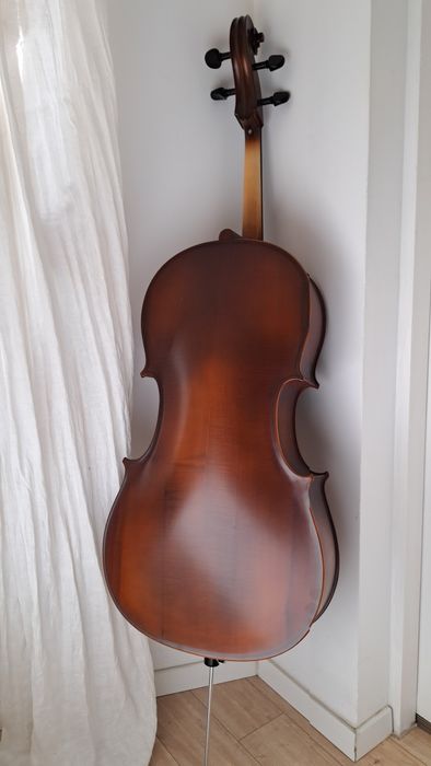 Violoncel 4/4 Reghin