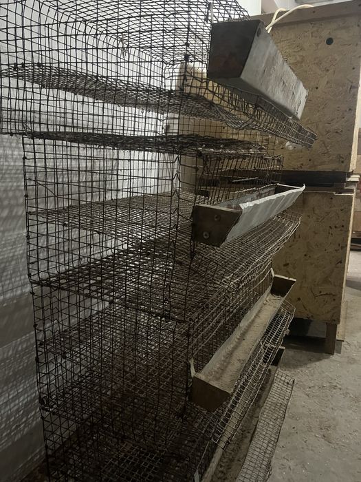 Брудер сатылады сеткалар бар