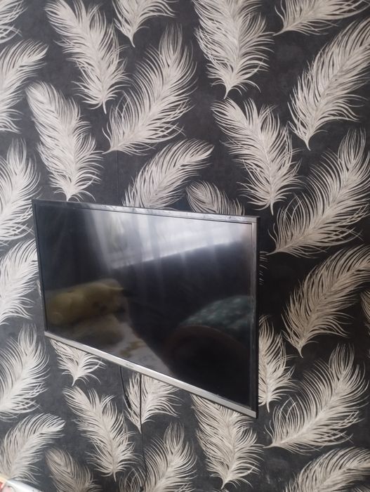 Телевизор Haier .