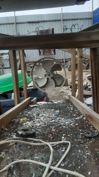 Семичка тозаловчи елак