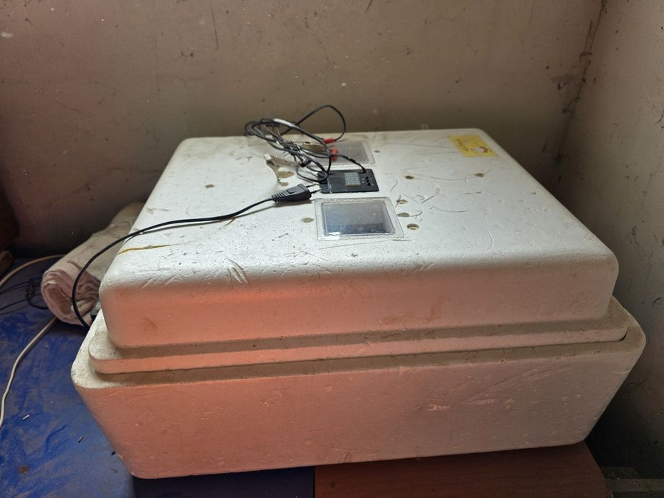 Инкубатор бывшие в употребление